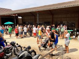 2022 Aug Oldie-Traktoren Töff Guntmadingen