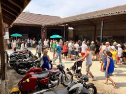 2022 Aug Oldie-Traktoren Töff Guntmadingen