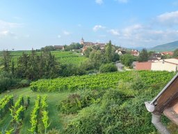 2024 Aug 3-Tagestour Elsass