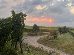 2024 Aug 3-Tagestour Elsass