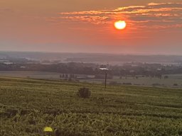 2024 Aug 3-Tagestour Elsass