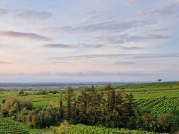 2024 Aug 3-Tagestour Elsass