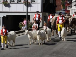 2024 Aug Starrrahmen Ausfahrt