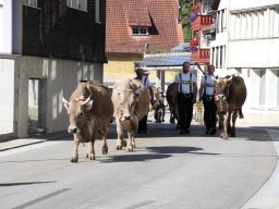 2024 Aug Starrrahmen Ausfahrt