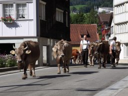 2024 Aug Starrrahmen Ausfahrt