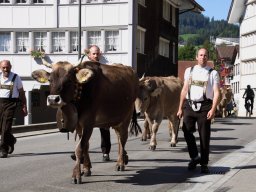 2024 Aug Starrrahmen Ausfahrt