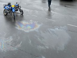 2024 Jun 50 Jahre FAM