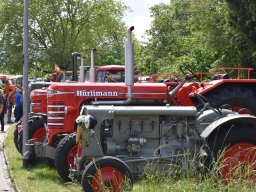 2024 Mai Arbon Classics