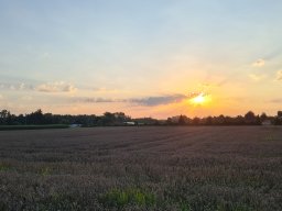 2025 Aug 3-Tagestour Austria