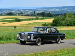 2025 Jul Revival 100 Jahre Bergsprint