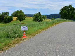 2025 Jul Revival 100 Jahre Bergsprint