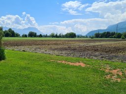 2025 Mai Old-Oldies Ausfahrt