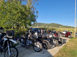 2026 Aug Stamm Hopfentropfen