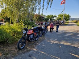 2026 Aug Stamm Hopfentropfen