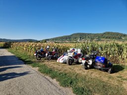 2026 Aug Stamm Hopfentropfen
