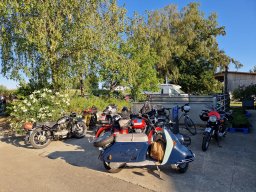 2026 Aug Stamm Hopfentropfen