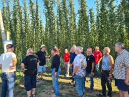 2026 Aug Stamm Hopfentropfen