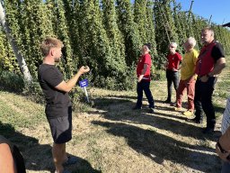 2026 Aug Stamm Hopfentropfen