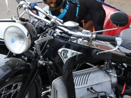 2026 Mai Arbon Classics