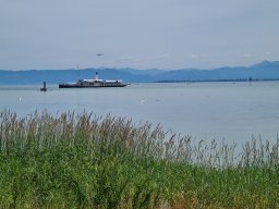 2026 Mai Arbon Classics